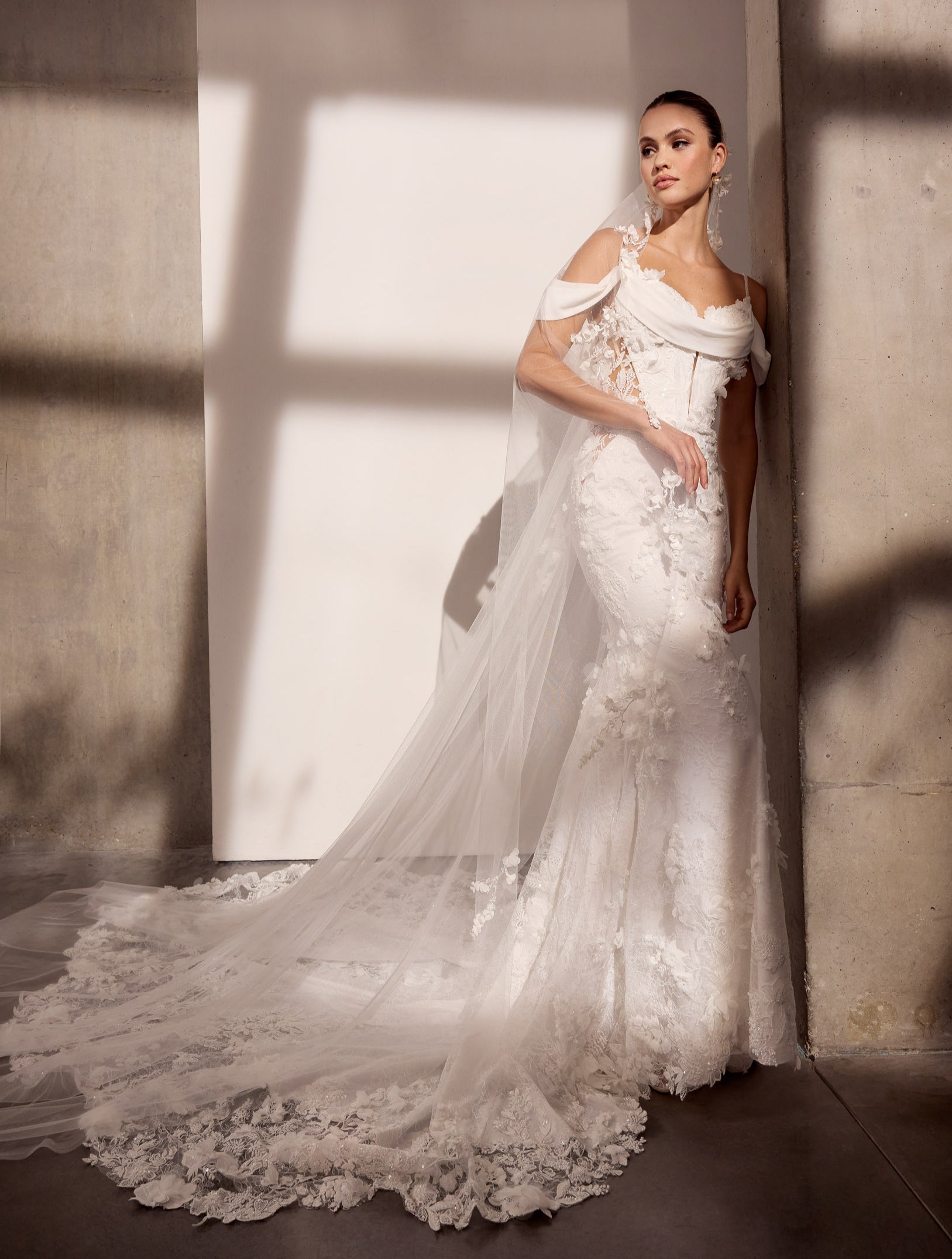 3D floral applique lace and georgette sheath
dress with detachable drape and pull-up with matching
sleeves and matching single tier veil