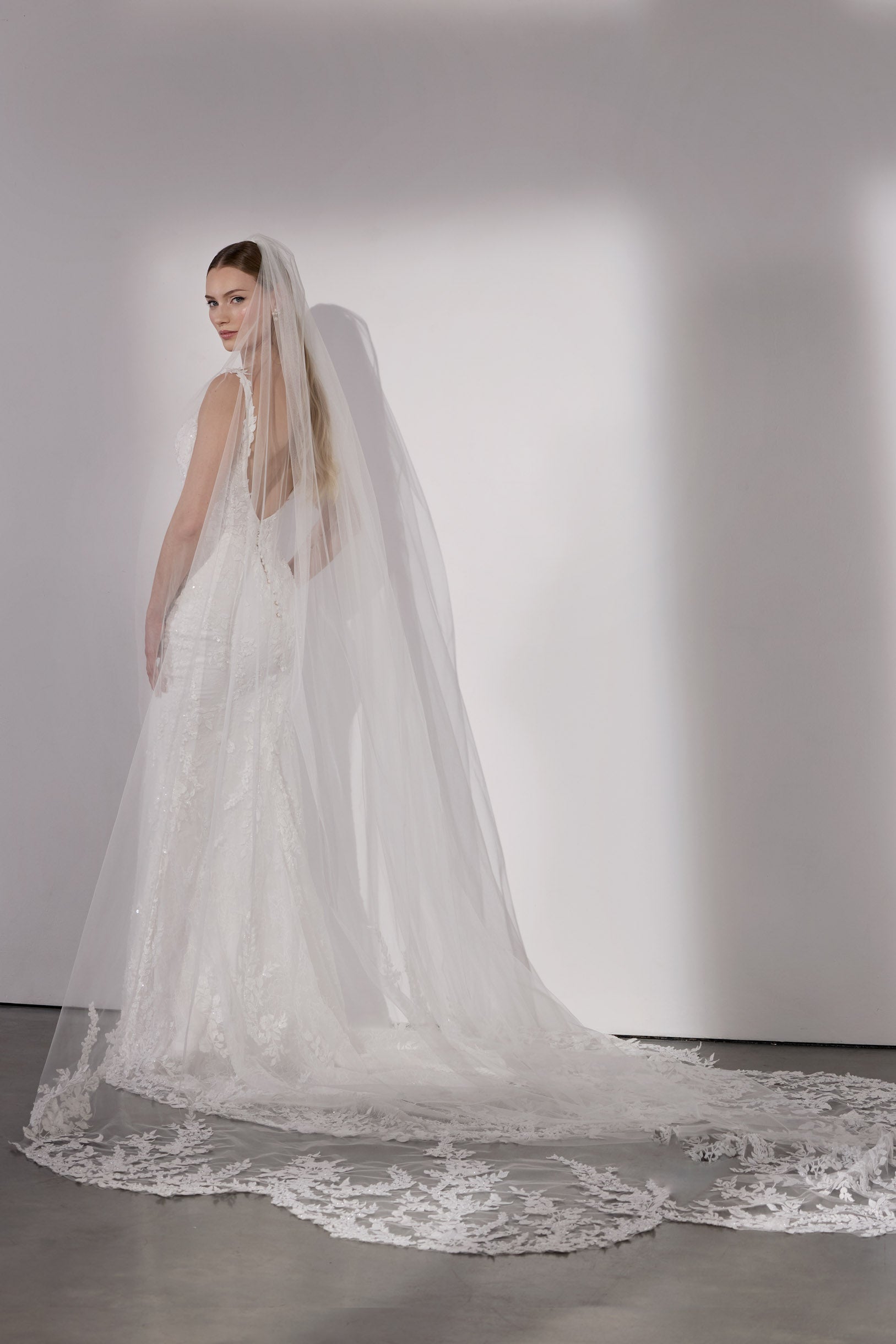 Beaded V-neck plunge low back sheath dress with illusion
train and single tier wedding lace veil